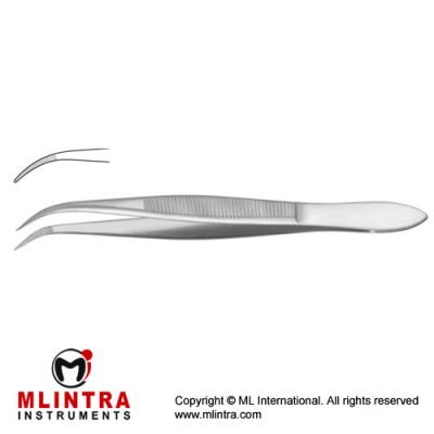 Splinter Forcep Curved - Serrated Jaws Stainless Steel, 14.5 cm - 5 3/4"